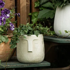 Donica twarz beżowa 19x18,5 cm