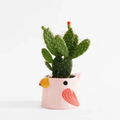 Doniczka na balkon, ptak, MIX