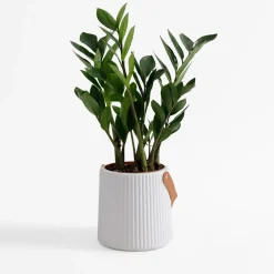 Doniczka z uchwytem biała 15 cm