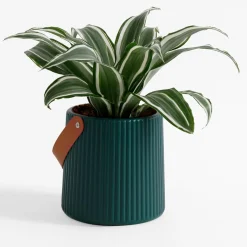 Doniczka z uchwytem zielona 15 cm