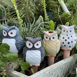 Dozownik nawadniający do roślin sowa MIX