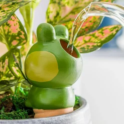 Dozownik nawadniający do roślin żaba