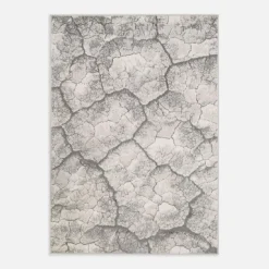 Dywan kora drzewa szary MIRACLE 120x170 cm