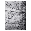 Dywan SPAZZIO SREBRNE DRZEWA 120x170 cm