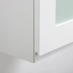 Front przeszklony PIANTA 40x76,5 biały, wysoki połysk