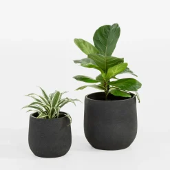 Komplet 2 donic czarnych