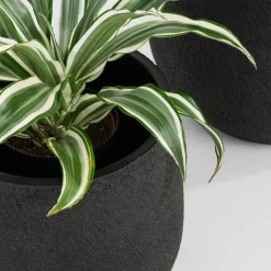 Komplet 2 donic czarnych