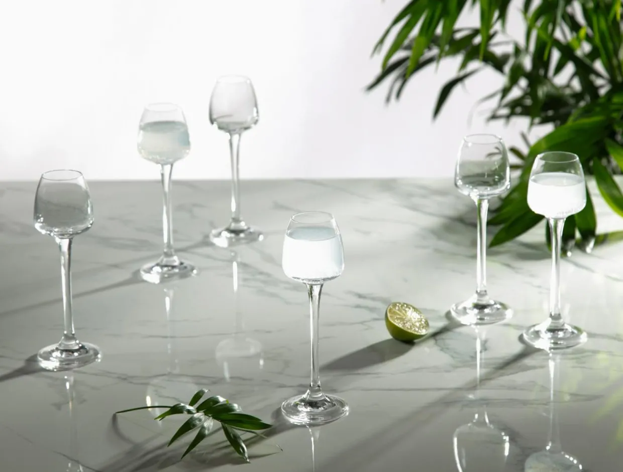 Komplet 6 kieliszków do likieru ANSER