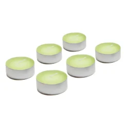 Komplet 6 podgrzewaczy LEMONGRASS MAX