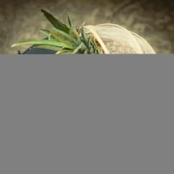 Koszyk z moskitierą, bambusowy 25 cm