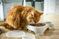 Miska podwójna dla psa lub kota z pokrywką SALLY