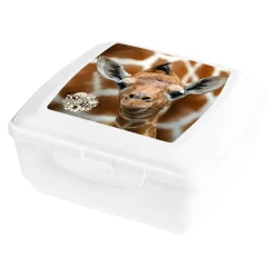 Pojemnik / lunchbox SAVE ME 850 ml