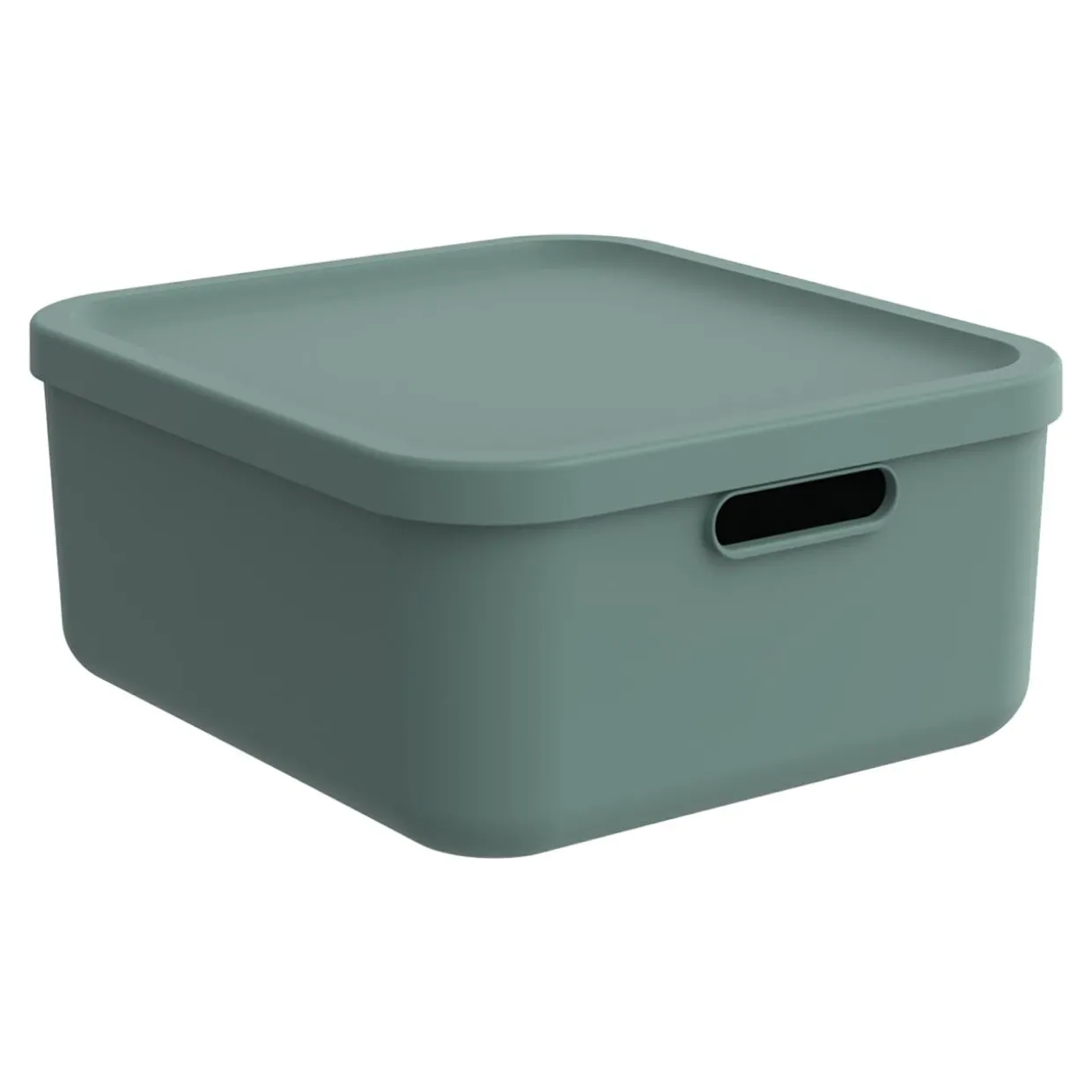 Pojemnik do przechowywania zielony ALBULA 20 L