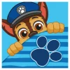 Ręcznik do rąk niebieski PAW PATROL 30x30 cm