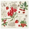 Serwetki papierowe SUMMER FRUITS 20 szt.