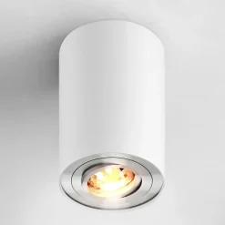 Spot natynkowy z regulacją biało-srebrny RONDOO