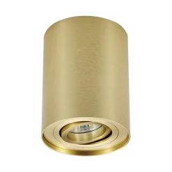 Spot natynkowy z regulacją złoty RONDOO
