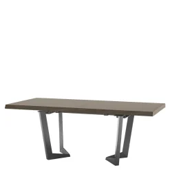 Stół rozkładany ELITE DAY srebrna brzoza 200 - 300 cm