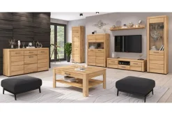 Szafka RTV POLDARK 2D1S