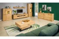 Szafka RTV SALVADOR 2D2S TYP32