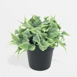 Sztuczny kwiat w czarnej doniczce 15 cm