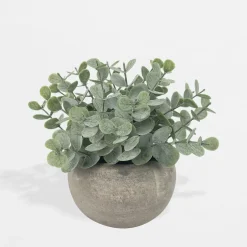 Sztuczny kwiat w doniczce EUKALIPTUS 14 cm