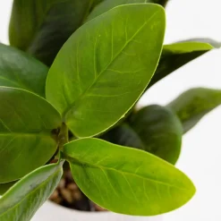 Sztuczny kwiat w doniczce 32 cm