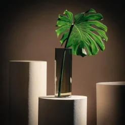 Wazon szklany DYMIONY 10,5x30 cm