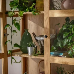 Witryna z litego drewna PAOLA brzoza naturalna